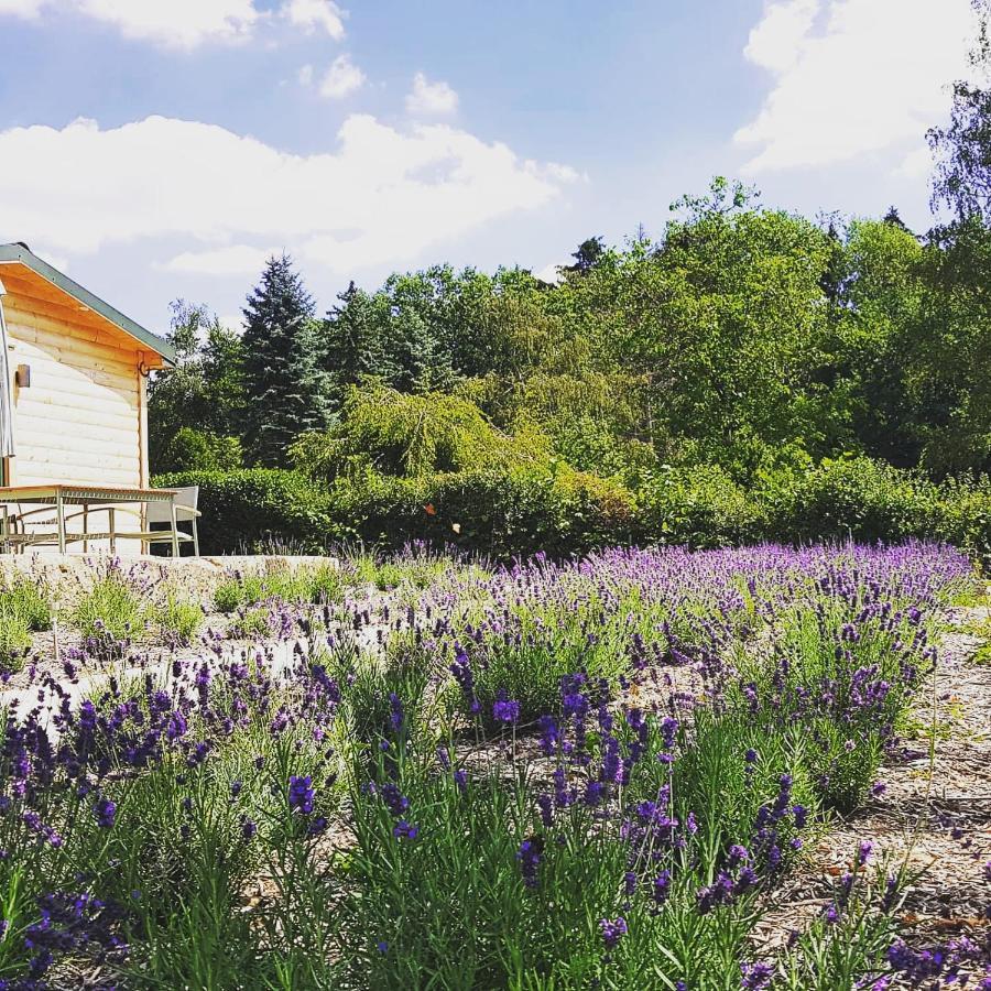 Chalet "Waldhauszeit" Am See Mücke Dış mekan fotoğraf