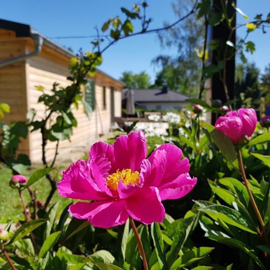 Chalet "Waldhauszeit" Am See Mücke Dış mekan fotoğraf