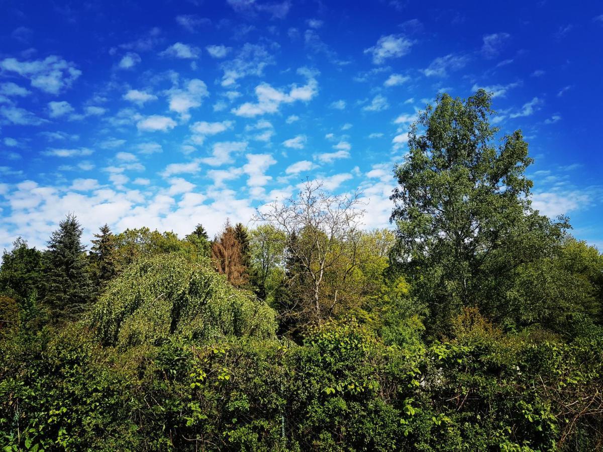 Chalet "Waldhauszeit" Am See Mücke Dış mekan fotoğraf